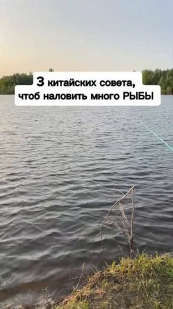 Это точно работает!