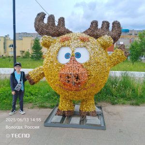 как я гуляю