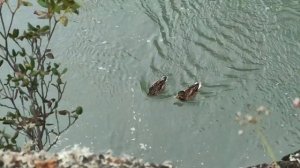 День 07. Камышлинский водопад. Усть-Семинский мост