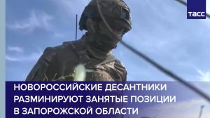 Новороссийские десантники разминируют занятые позиции в Запорожской области