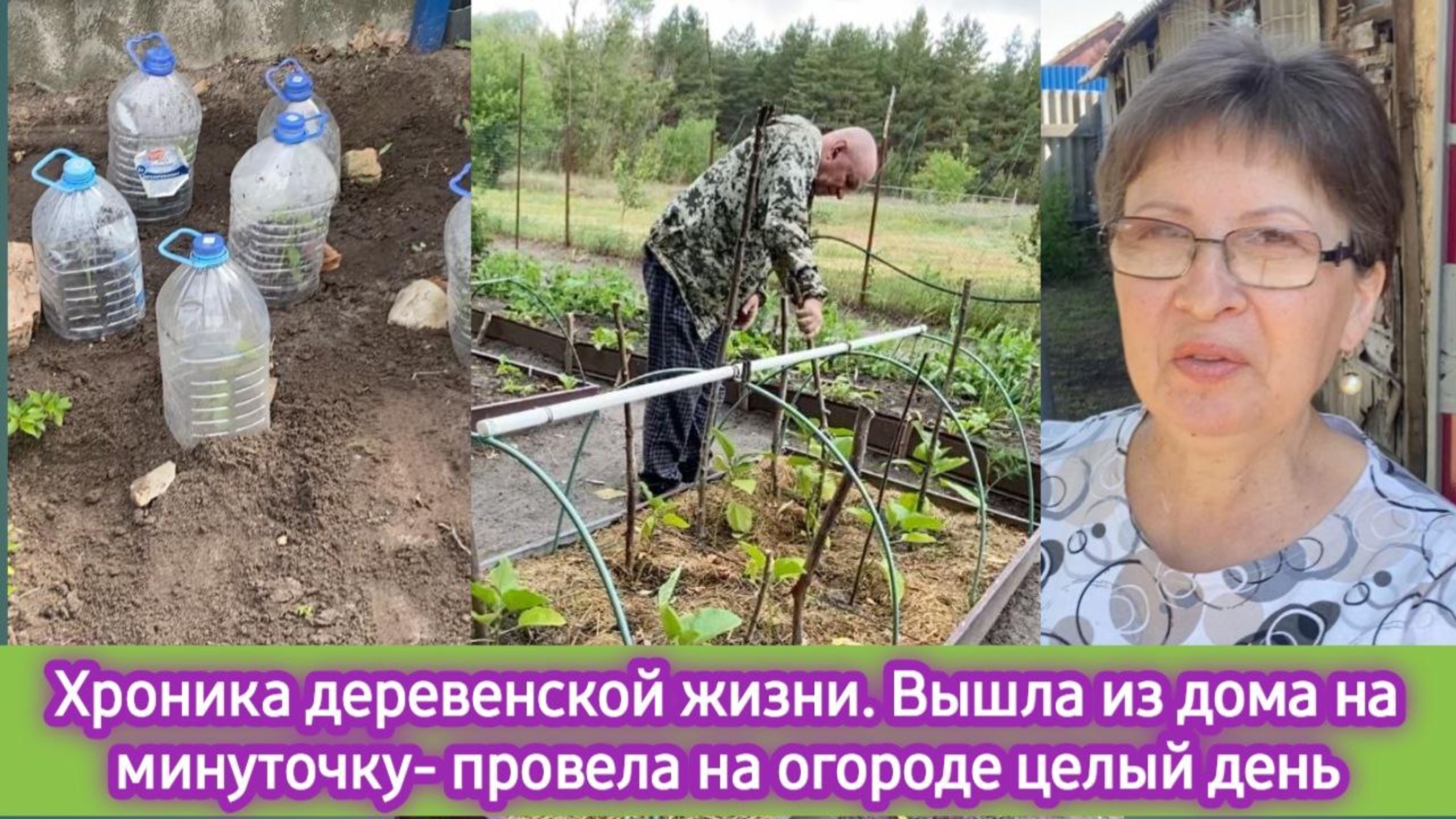 Хроника деревенской жизни: вышла из дома на минутку и провела на огороде целый день! Черенкование