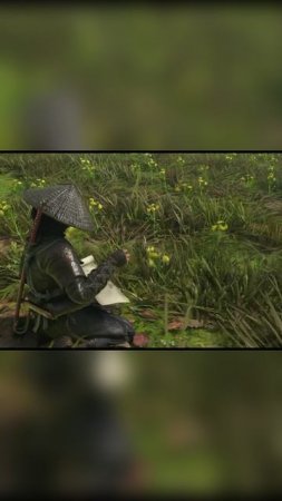 Олени в assassin creed shadows