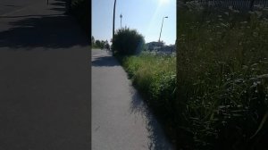 Убежала от 3х собак