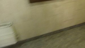 В УЖАСНОМ СОСТОЯНИИ ! Лифты Ecomaks-(ЩЛЗ) @ ЖСК «МИТИНО-25» (2412)