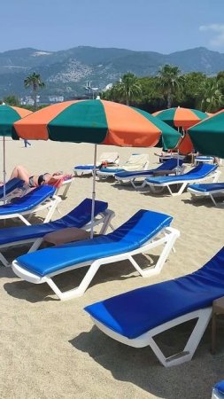 Туристы в Турции не хотят платить за лежаки #нетзим