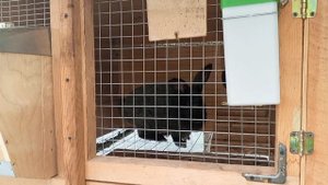 Клетки для кроликов, под заказ.