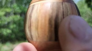 Шкатулка в июньском лесу на березе с развилкой