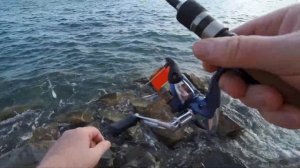 Морская рыбалка в Джубге: бомбарда, скорпена и ласкирь на Чёрном море!