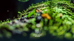 Hypersphere