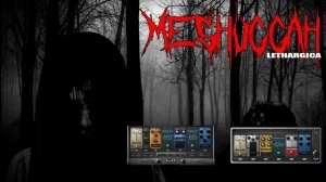 Meshuggah - Lethargica (Cover)
