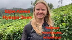 Шри-Ланка. Нувара-Элия - чайные плантации. Чайная фабрика Педро. Водопады, поезд в Нувара-Элию.