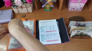 Бюджет племянницы. #1. √1. 13.06.25г.