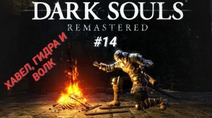 DARK SOULS: REMASTERED (Coop) #14 ХАВЕЛ, ГИДРА И ВОЛК