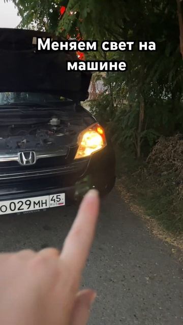 #наморенамашине #море2024 #наморе #море #отдыхсдетьми смотреть онлайн