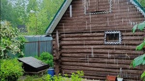 Июньский дождь