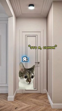 Ещё больше котиков в канале https://t.me/cotorai