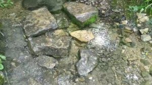 Тихий родник