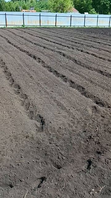 В Красноярске + 32, а мы работаем смотреть онлайн