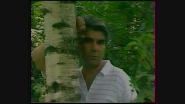 Сторона ль моя сторонка