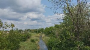 Жара ,речушка высохла местами дно сухое ,из живности ужик , черепаха , лягушки и рыбку видел.