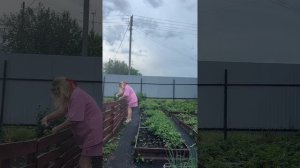 Декор для огорода #уралочка #уральскаядевушка