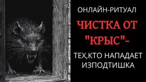 ЧИСТКА ОТ ПОДЛЫХ «КРЫС»: ТЕХ, КТО НАПАДАЕТ ИЗПОДТИШКА