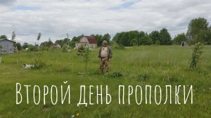 01.06.2025 Второй день прополки огорода.