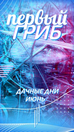 Найден первый гриб - подберезовик🍄🟫🌳🍄🟫🌲🍄🟫