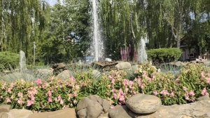 Краснодар в июне