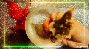 ✨События десяти ближайших дней!✨