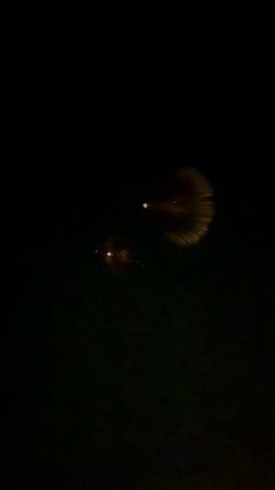 Красивые кадры заатмосферного перехвата иранской баллистики системой ПРО Израиля !!!