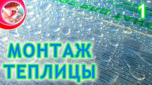 Теплица из поликарбоната. Монтаж теплицы своими руками. 1 часть