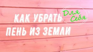 Как убрать пень без корчевания Удаление пней на участке своими руками Легко Способ для лентяев