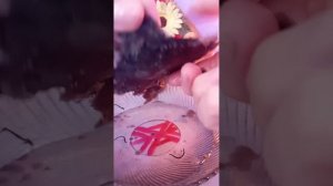 что делают пока вы спите?