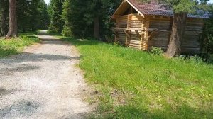 День медицинского работника| Ходила забирать свою "зарядку"