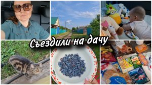 🏡Съездили на дачу. Отвезли нашу Джесси. Обзор покупок. Злость берет за таких покупателей 😬