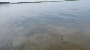 Температура воды в соленом озере в Завьялово 14.06.2025
