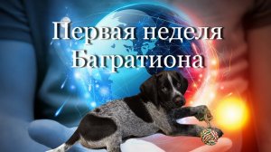 Первая неделя Багратиона #мой_мир_поморье