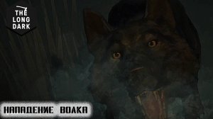 3 TheLongDark- Нападение волка #3
