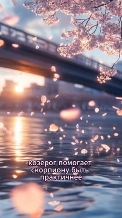 Козерог и Скорпион - совместимость знаков зодиака