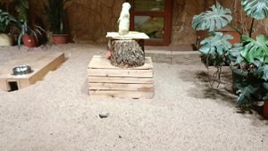 Санкт Петербург 2025