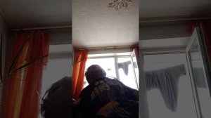 купил всякую фигню