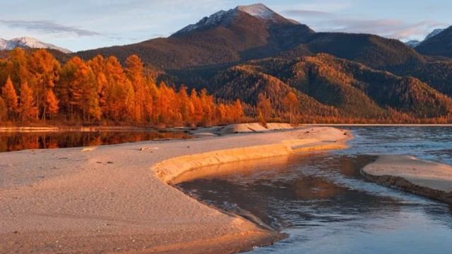 Прогулка по Баргузинскому заповеднику, часть 1
Лесной дневник