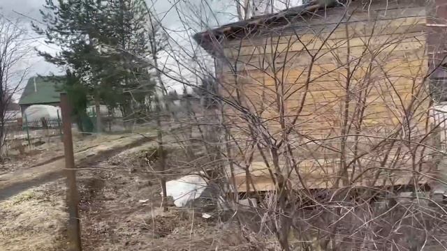 Сделан сток. Воды теперь БУДЕТ ВАЛОМ! Опилки некуда девать.