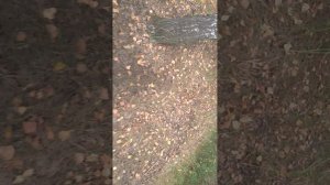 КОП ЧЕРМЕТА ИЗ АРХИВА 🛠️👍