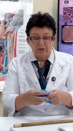 Исследование крови под микроскопом - обнаружение микроорганизмов