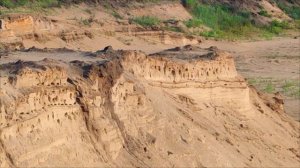 Ласточки береговушки