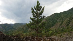 Путешествие по Чемальскому тракту👍😁