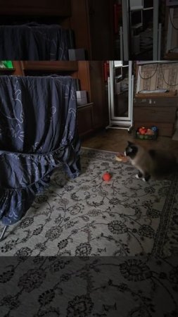 Не нападай. Подписываемся vr9753l_