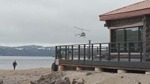 Заполярье: тундра и киты. Июнь 2025г.